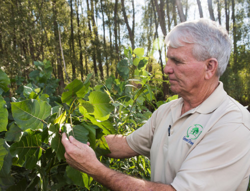 “Farming” Carbon to Help Wildlife
