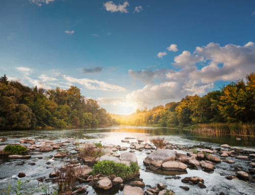 River Systems are Integral